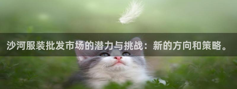 谈球吧体育app登陆不上