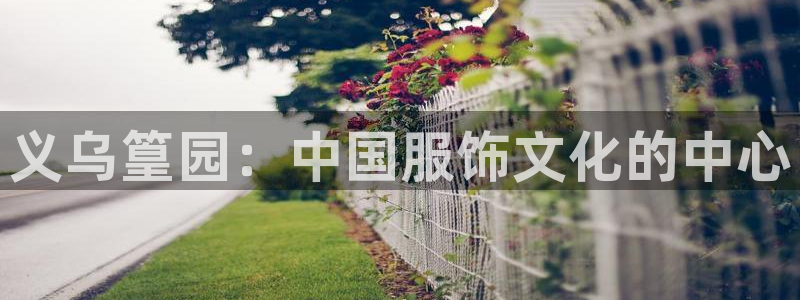 谈球吧不出款