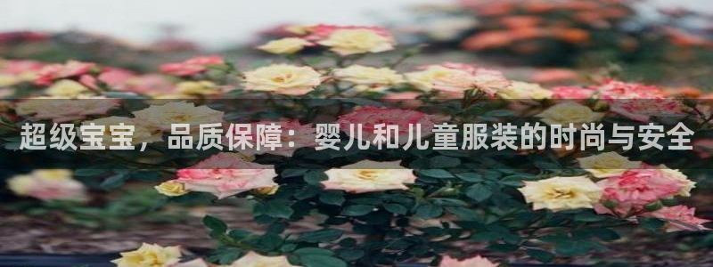 谈球吧网站