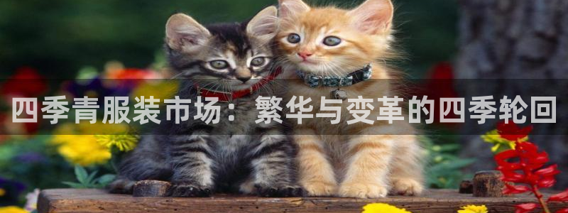 谈球吧官网入口在线观看