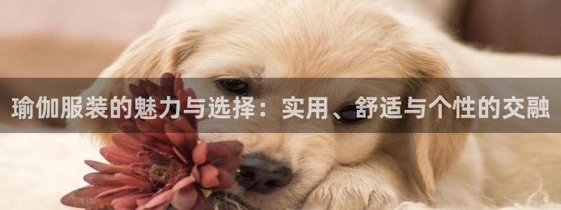 谈球吧官网在线入口手机版下载