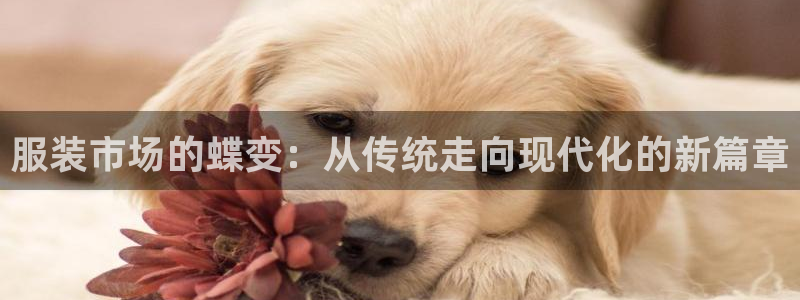 谈球吧首页