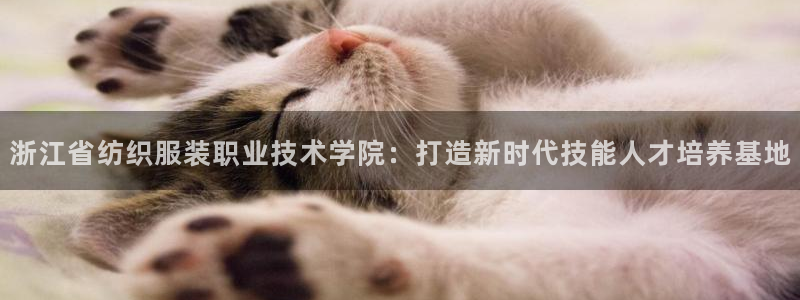 谈球吧娱乐app下载官网苹果