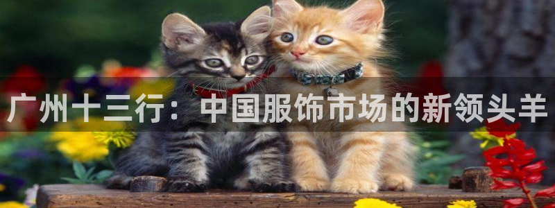 谈球吧平台app下载网址是什么