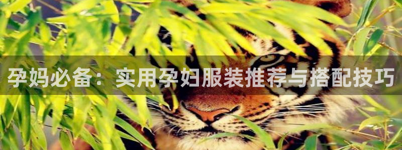 谈球吧中国