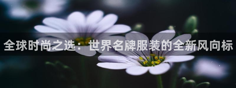 谈球吧体育赛事入口