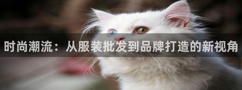 谈球吧不出款
