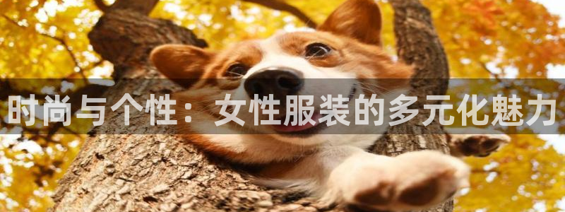 谈球吧nba
