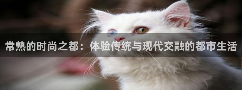 谈球吧官网在线入口免费观看视频下载