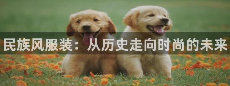 谈球吧在线
