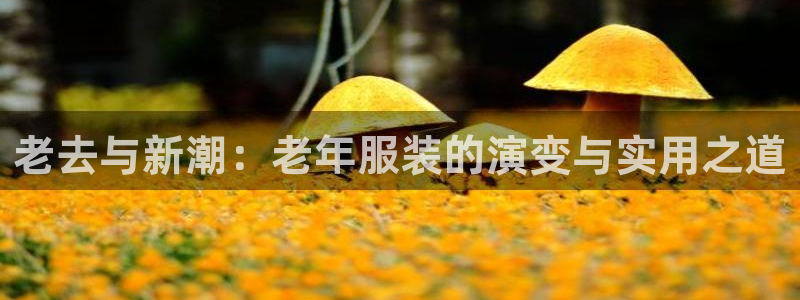 谈球吧咋样