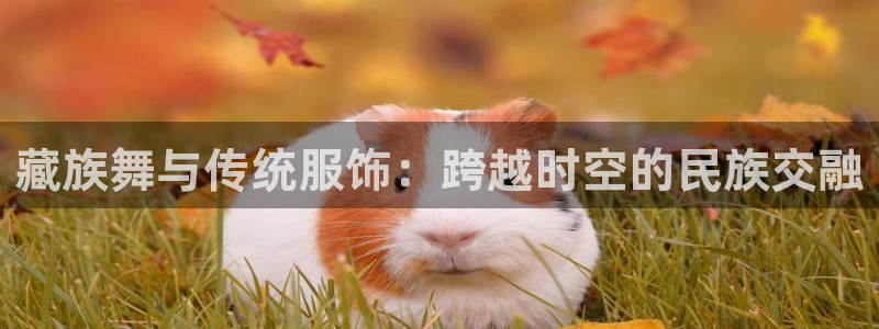 谈球吧体育app下载官网苹果