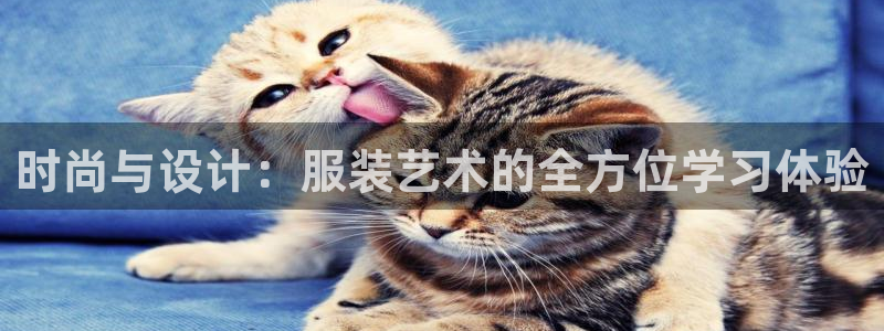 谈球吧体育app下载中心官网