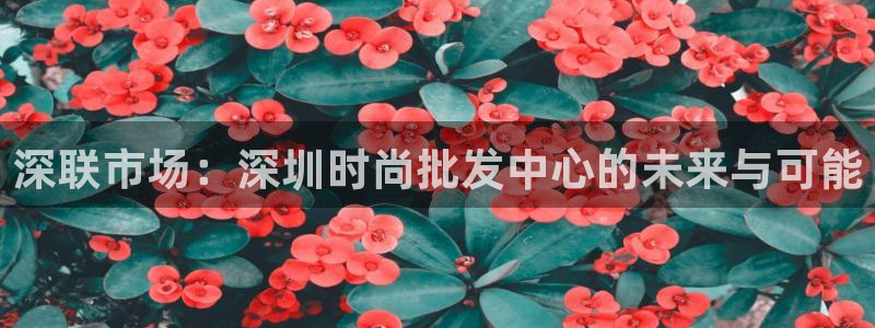 谈球吧官网在线入口免费观看视频下载