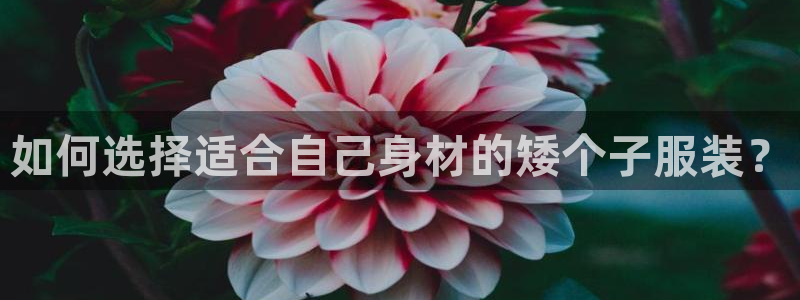谈球吧官网下载