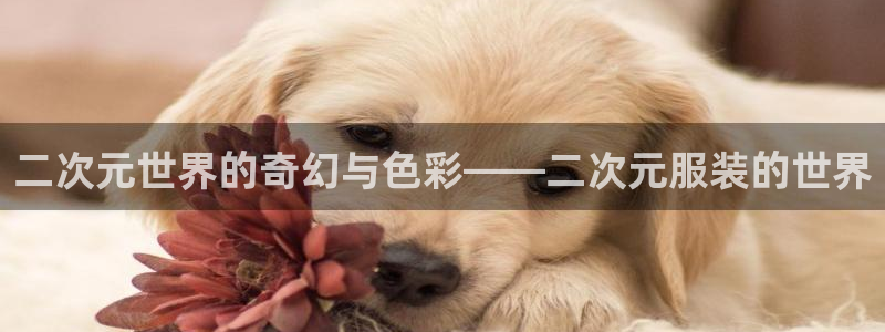 谈球吧全站app下载手机版