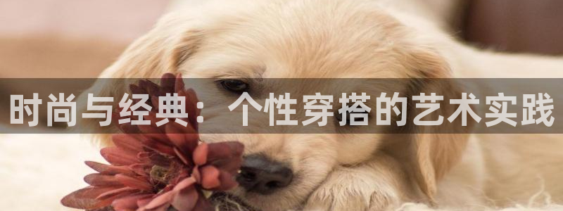 谈球吧平台app