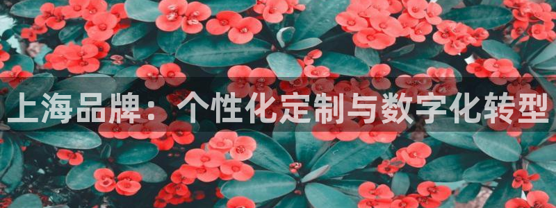 谈球吧中国官方网站