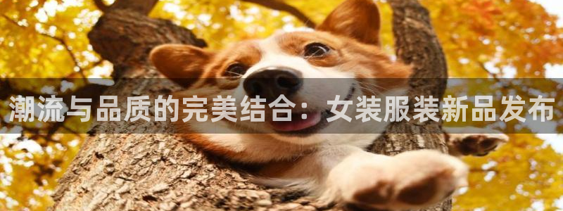 谈球吧算违法行为吗为什么