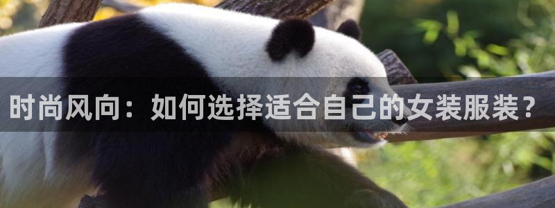 谈球吧不出款