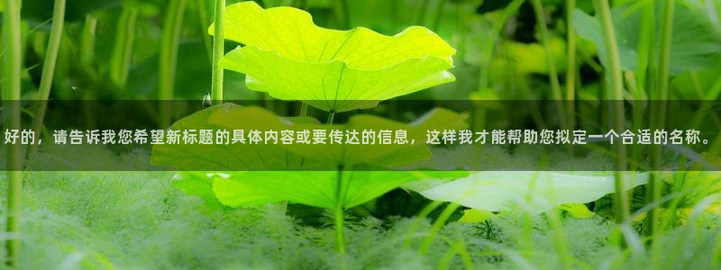 谈球吧app官方下载