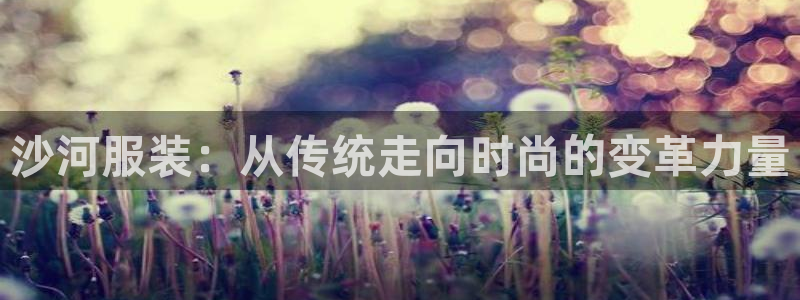 谈球吧
