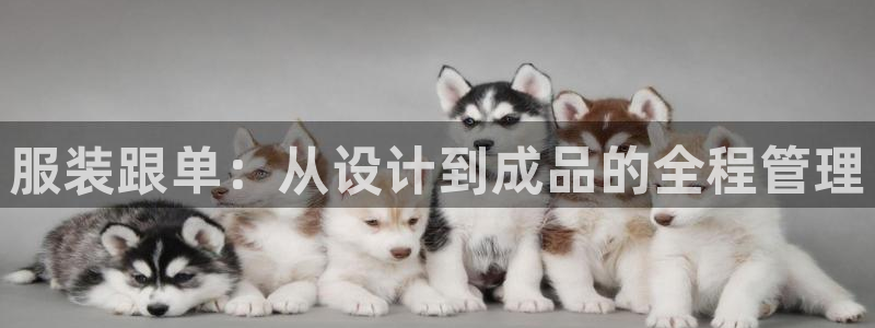 谈球吧体育app下载官网手机版