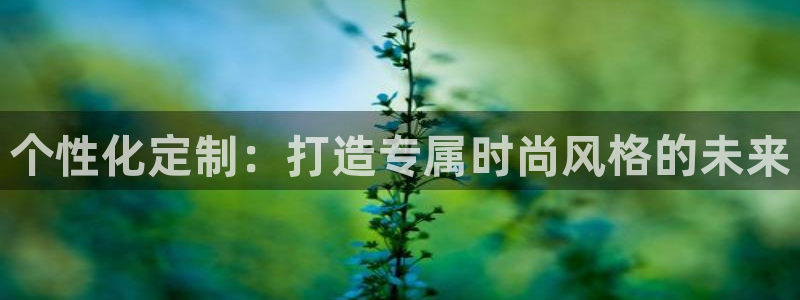 谈球吧官网在线入口免费观看高清：个性化定
